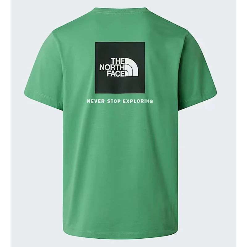 The North Face Evolution NSE Box normal geschnittenes T-Shirt für Herren Dimmed algae