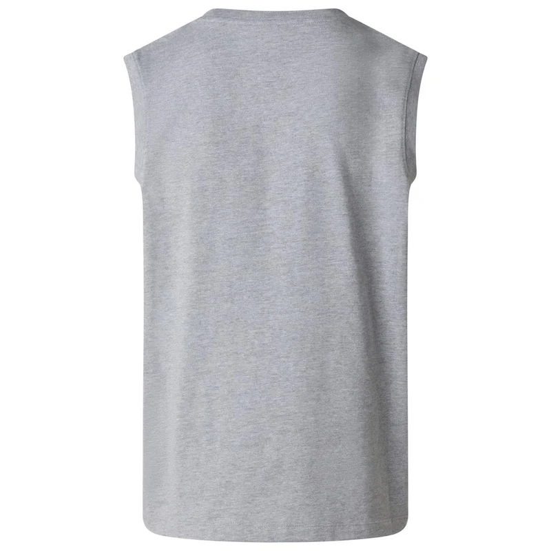 THe North Face Evolution Simple Dome Tank Herren pale grey heather