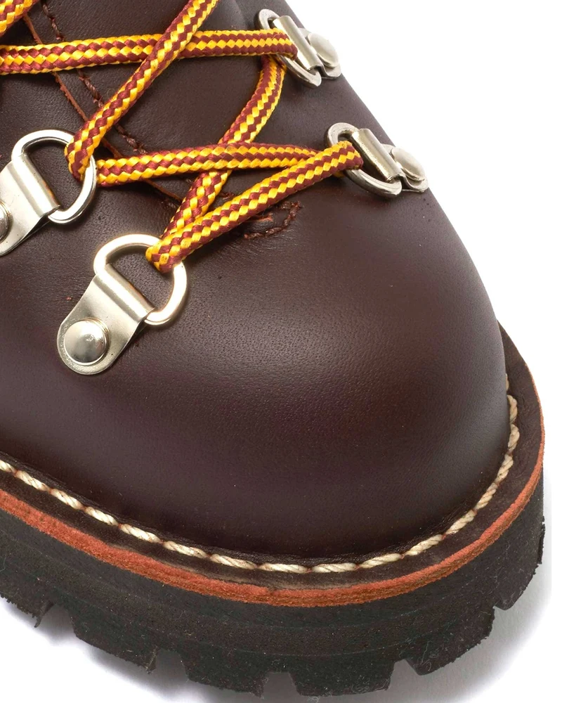 Danner Mountain Light Hiking Boot Brown