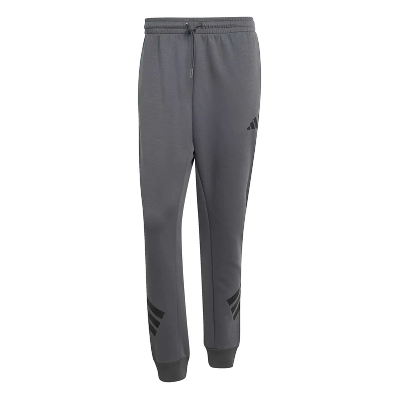 Future Icons 3-Streifen Hose