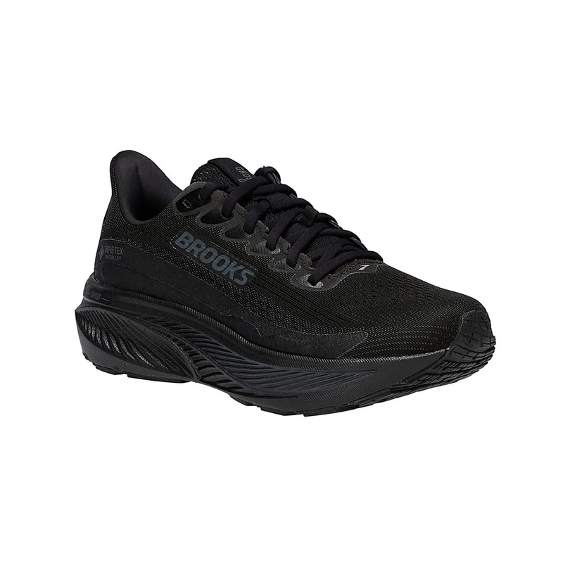 Brooks Ghost 17 GTX Men black black ebony