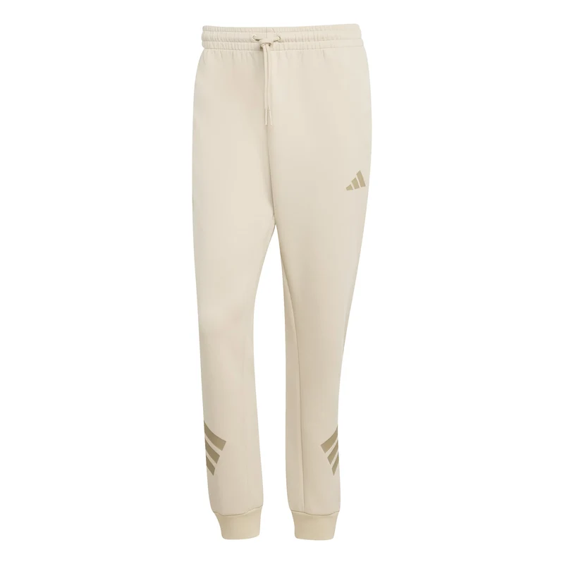Future Icons 3-Streifen Hose