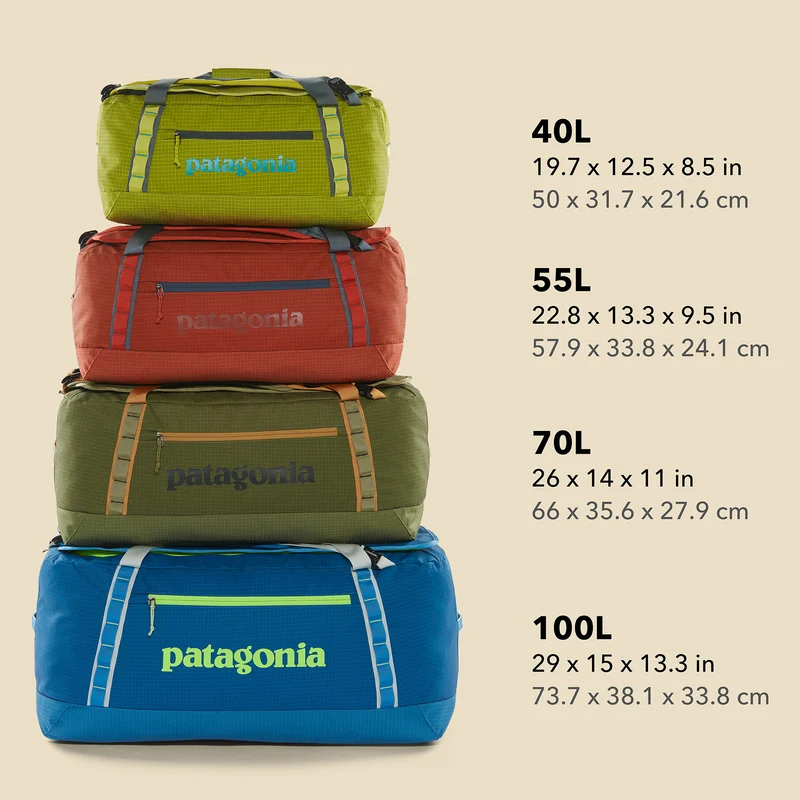 Patagonia Black Hole Duffel 55L Seabird Grey