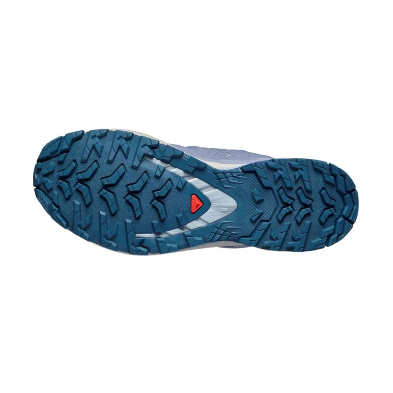 Salomon XA Pro 3D V9 Gore-Tex Trailrunningschuhe Women grisaille / tradewinds