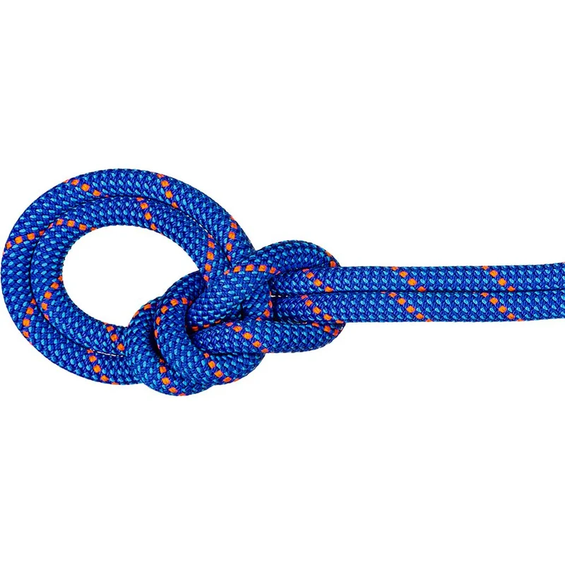 Mammut 9.5 Crag Dry Rope 60m Einfachseil blue ocean