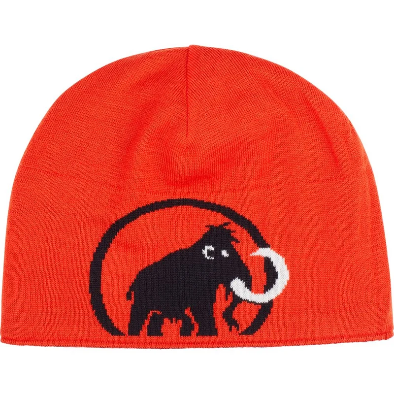 Mammut Logo Mütze black