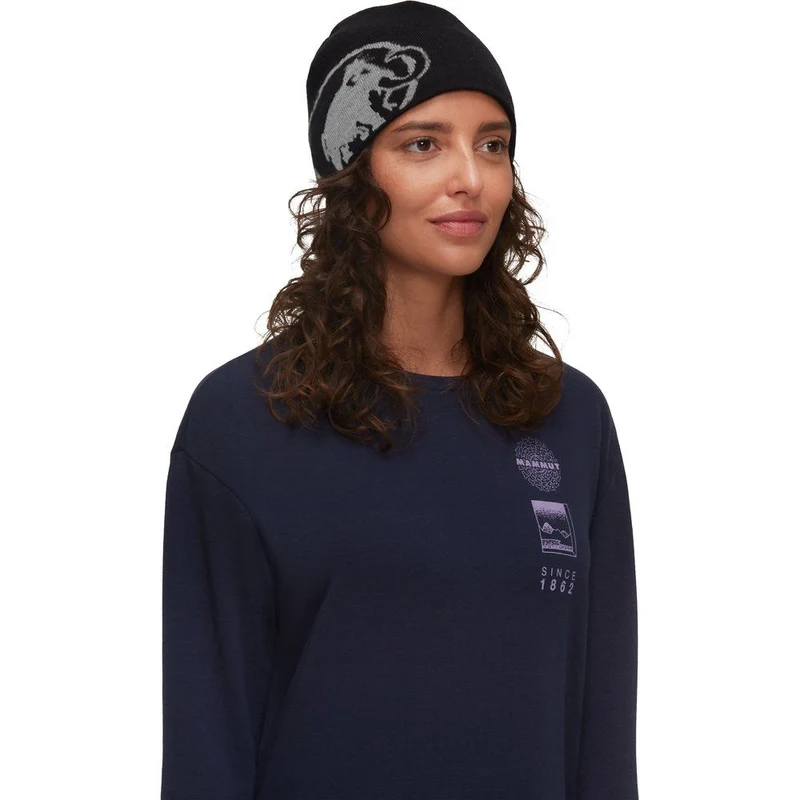 Mammut Tweak Beanie black-steel