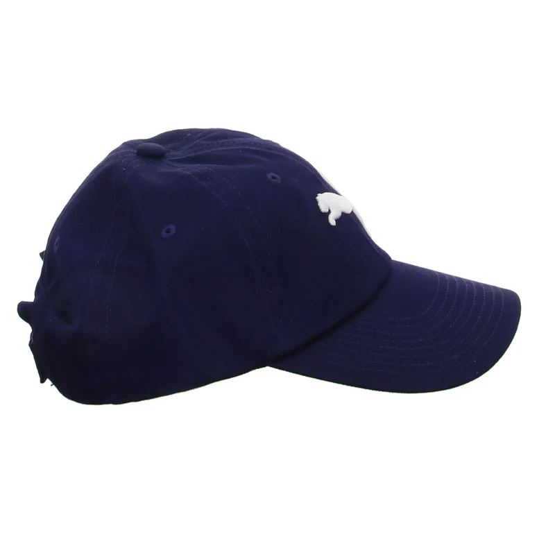PUMA Cap ESS Cap
