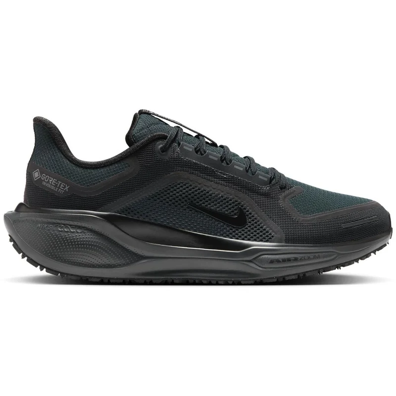Nike Pegasus 41 GTX Men black