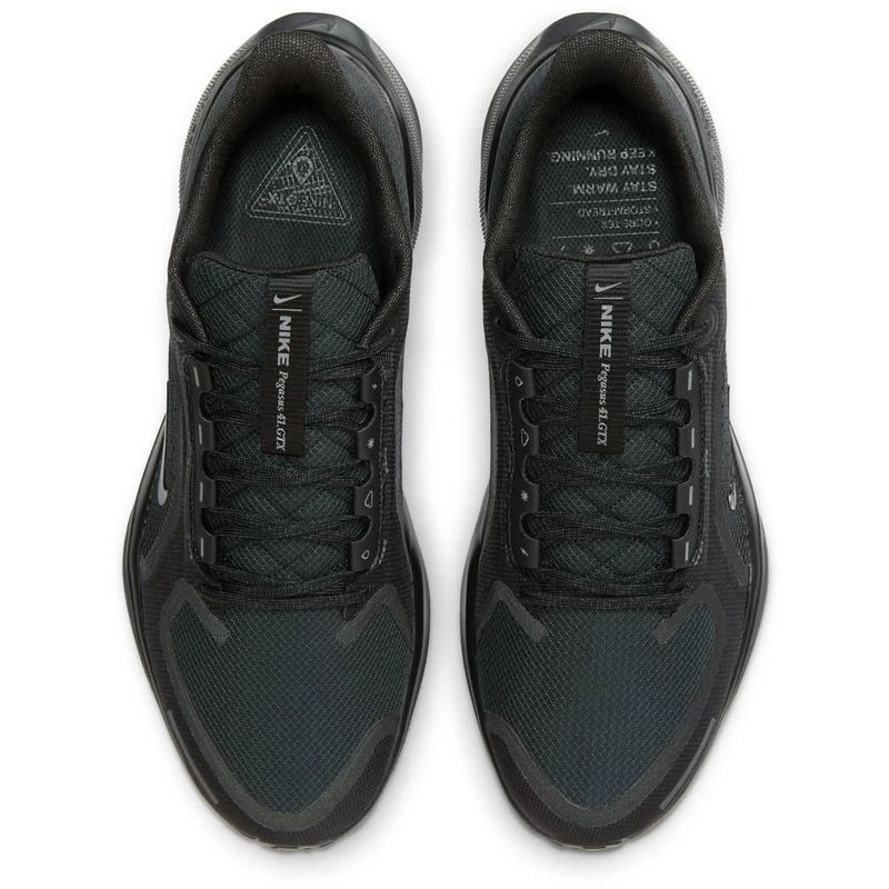 Nike Pegasus 41 GTX Men black