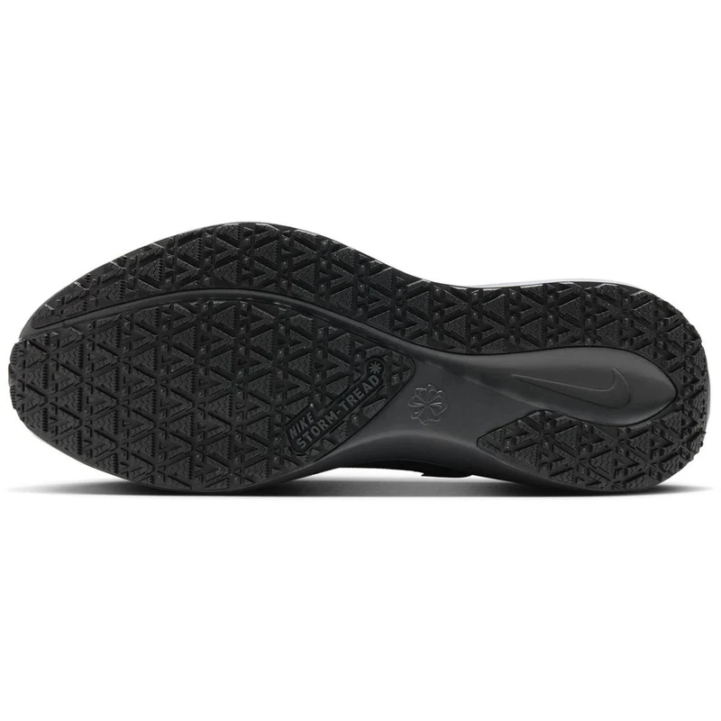 Nike Pegasus 41 GTX Men black