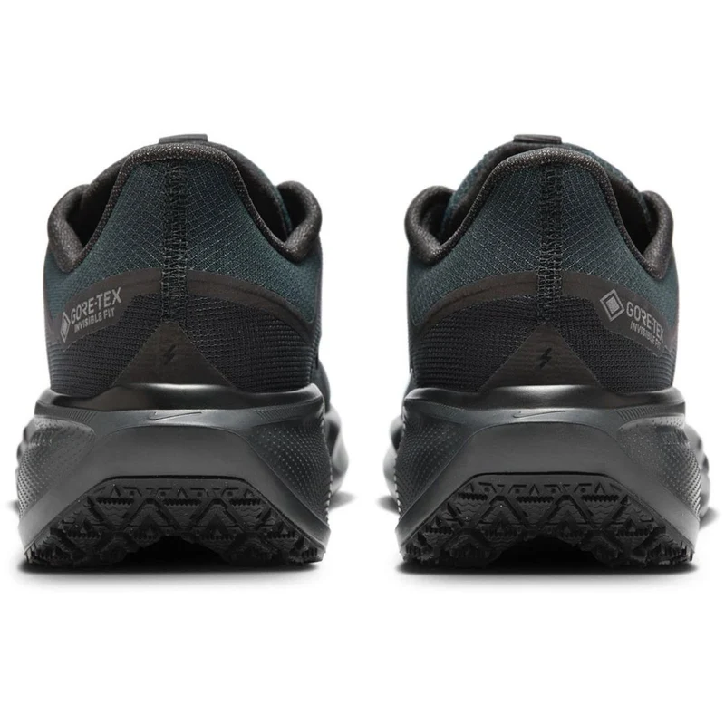 Nike Pegasus 41 GTX Men black