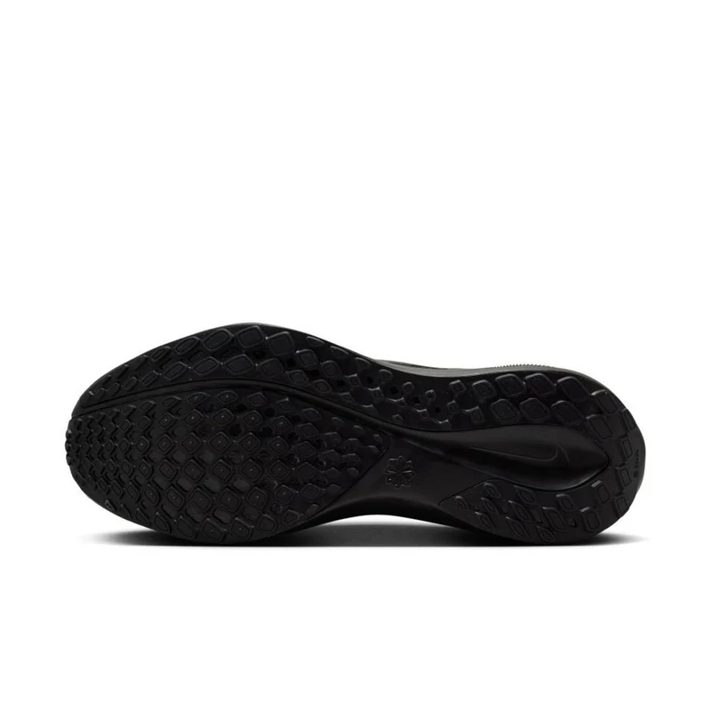 Nike Pegasus 41 Men black