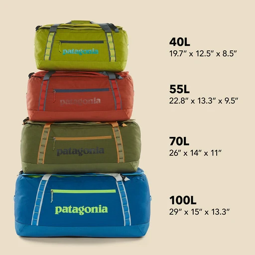 Patagonia Black Hole Duffel 100L Black