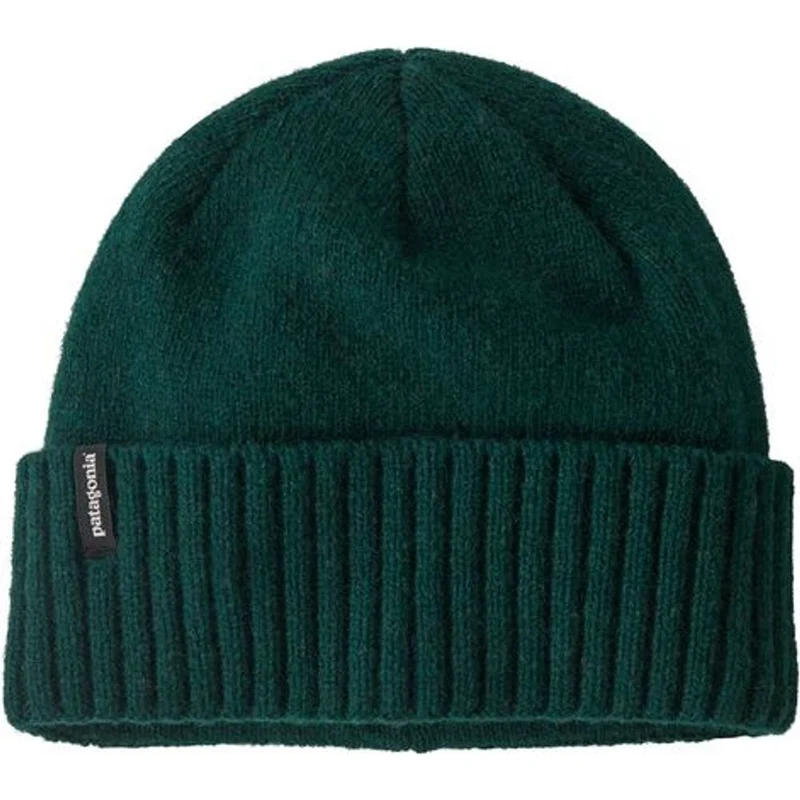 Patagonia Brodeo Mütze cascade green