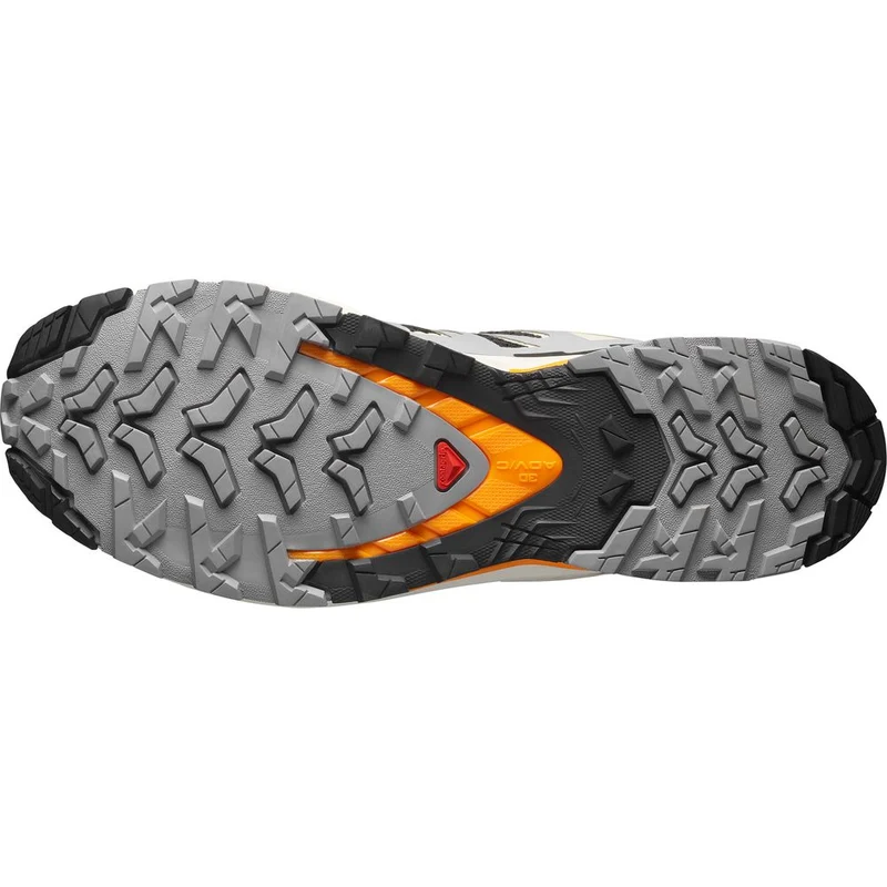 Salomon Shoes XA Pro 3D V9 Herren Trailrunningschuh black gull turmeric