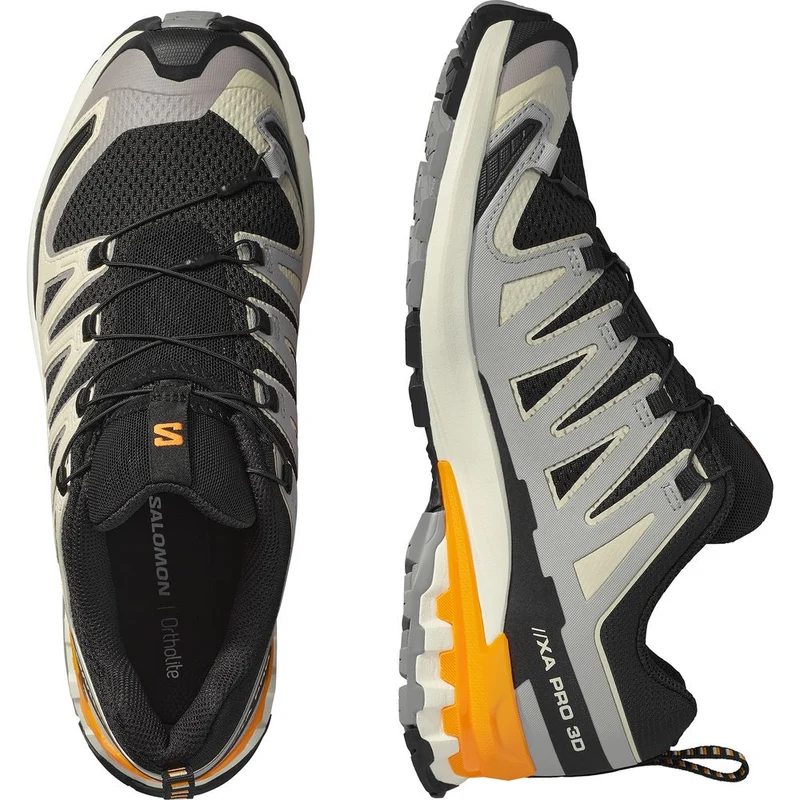 Salomon Shoes XA Pro 3D V9 Herren Trailrunningschuh black gull turmeric