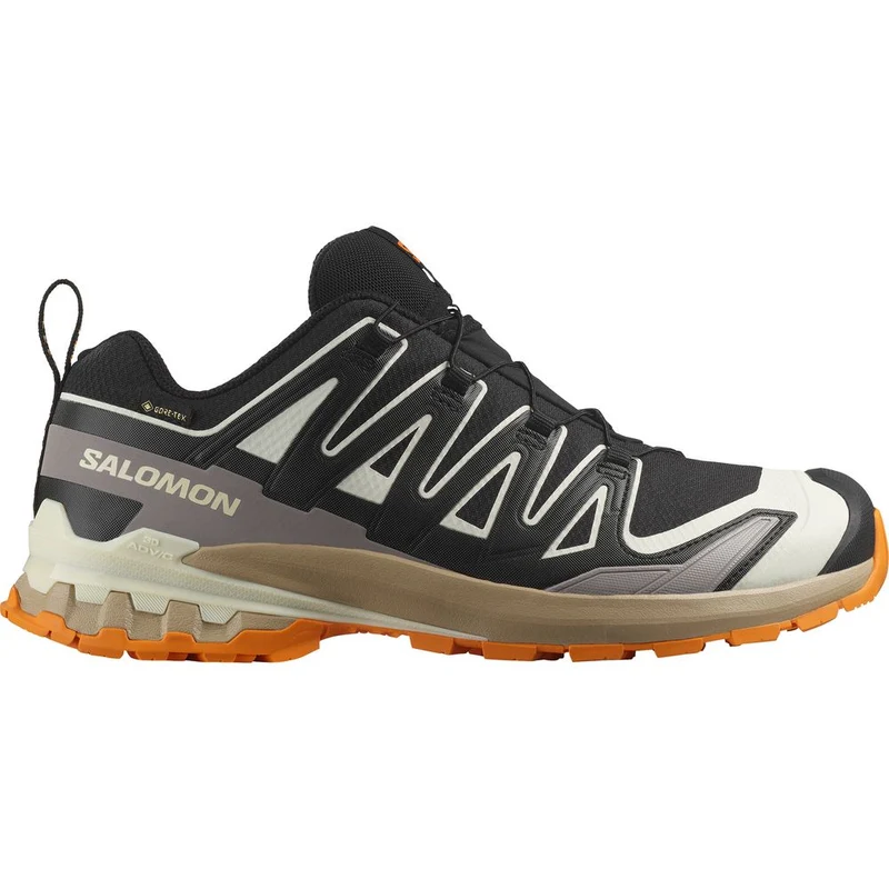 Salomon Shoes XA Pro 3D V9 GTX Herren Trailrunningschuh black vanilla ice turmeric