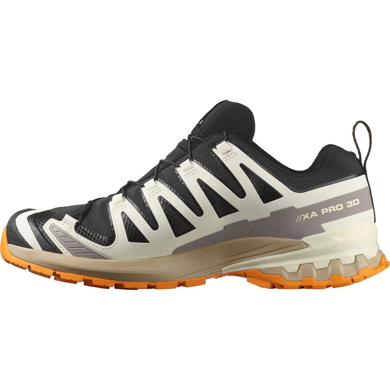 Salomon Shoes XA Pro 3D V9 GTX Herren Trailrunningschuh black vanilla ice turmeric