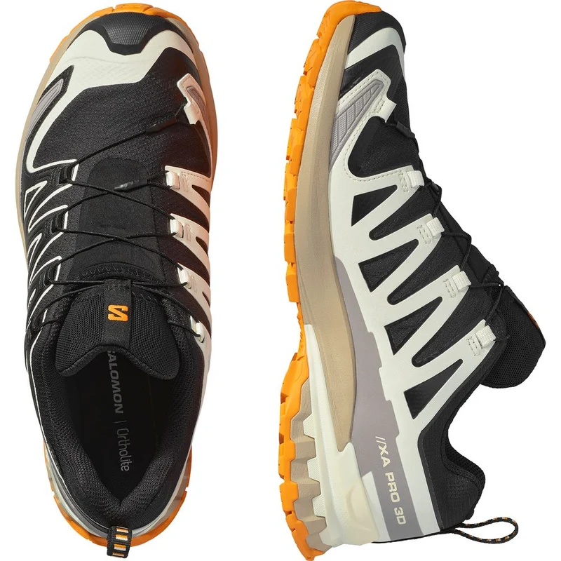 Salomon Shoes XA Pro 3D V9 GTX Herren Trailrunningschuh black vanilla ice turmeric