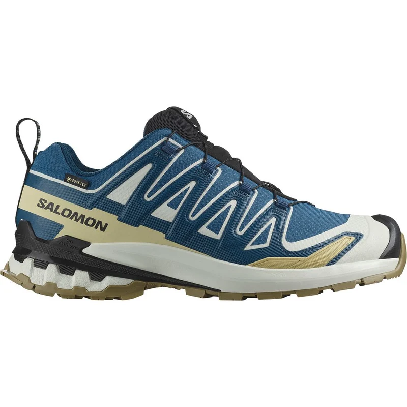 Salomon Shoe XA Pro 3D V9 GTX Herren Trailrunningschuh dark blue icicle aloe