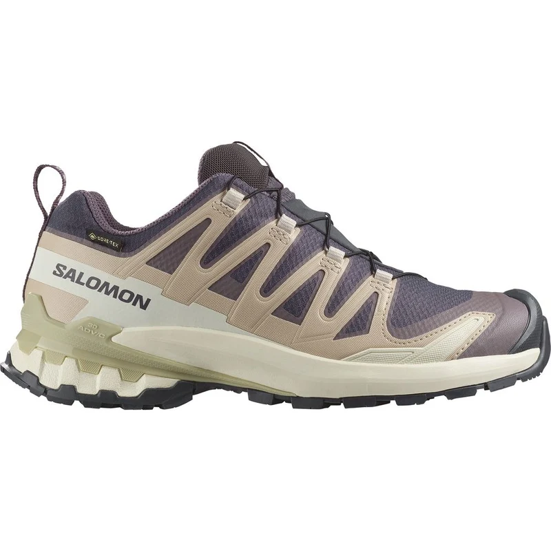 Salomon Shoe XA Pro 3D V9 GTX Damen Trailrunningschuh nine iron oxford tan alfalfa