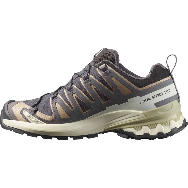 Salomon Shoe XA Pro 3D V9 GTX Damen Trailrunningschuh nine iron oxford tan alfalfa