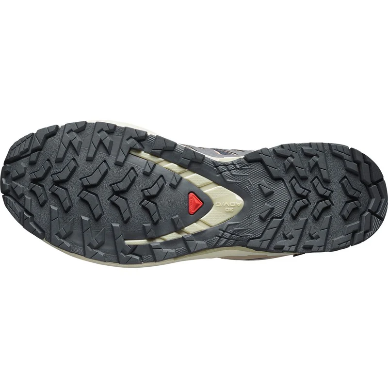 Salomon Shoe XA Pro 3D V9 GTX Damen Trailrunningschuh nine iron oxford tan alfalfa