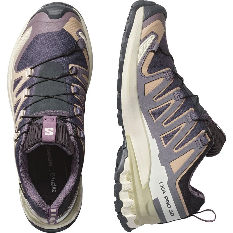 Salomon Shoe XA Pro 3D V9 GTX Damen Trailrunningschuh nine iron oxford tan alfalfa