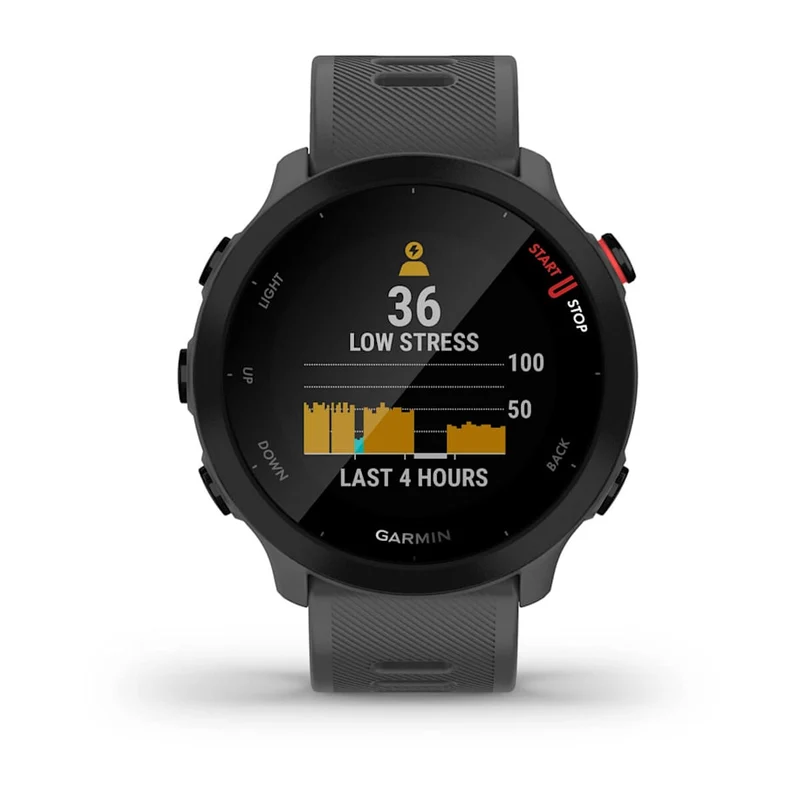 GARMIN Forerunner 55 Grey GPS-Laufuhr