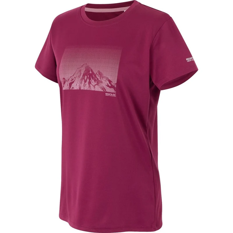 Regatta Womens Fingal IX Damen T-Shirt beaujolais