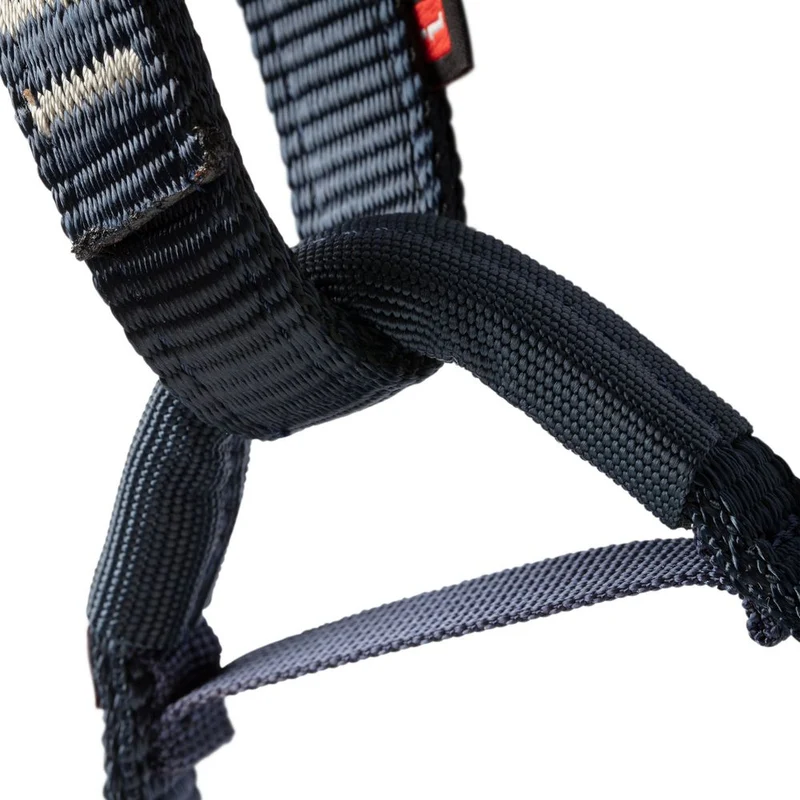 Mammut Ophir Kinder Klettergurt barberry