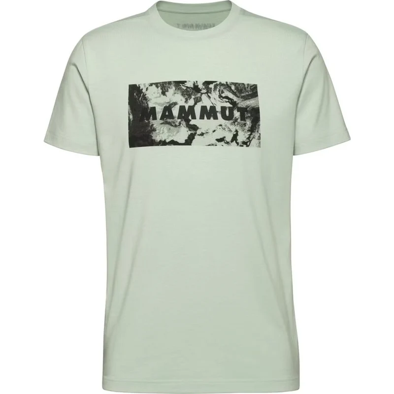 Mammut Trovat Logo Herren T-Shirt silver sage