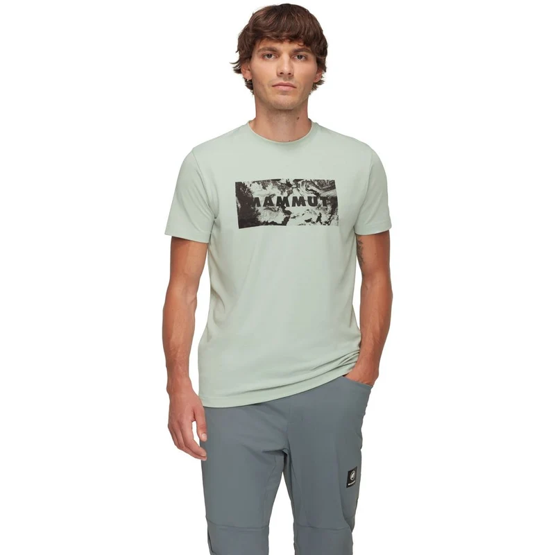 Mammut Trovat Logo Herren T-Shirt silver sage