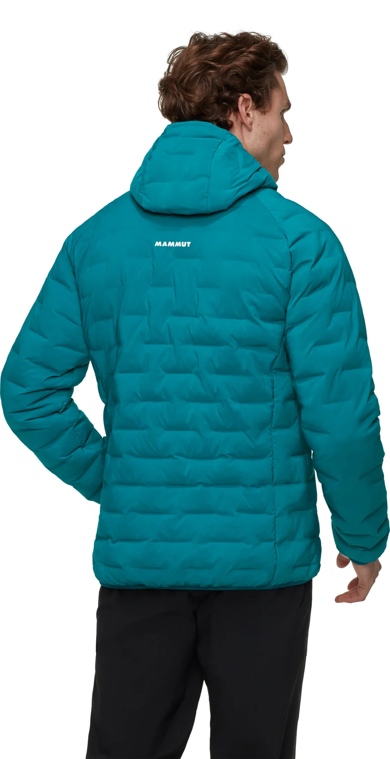MAMMUT Sender IN Hooded Jacke Herren