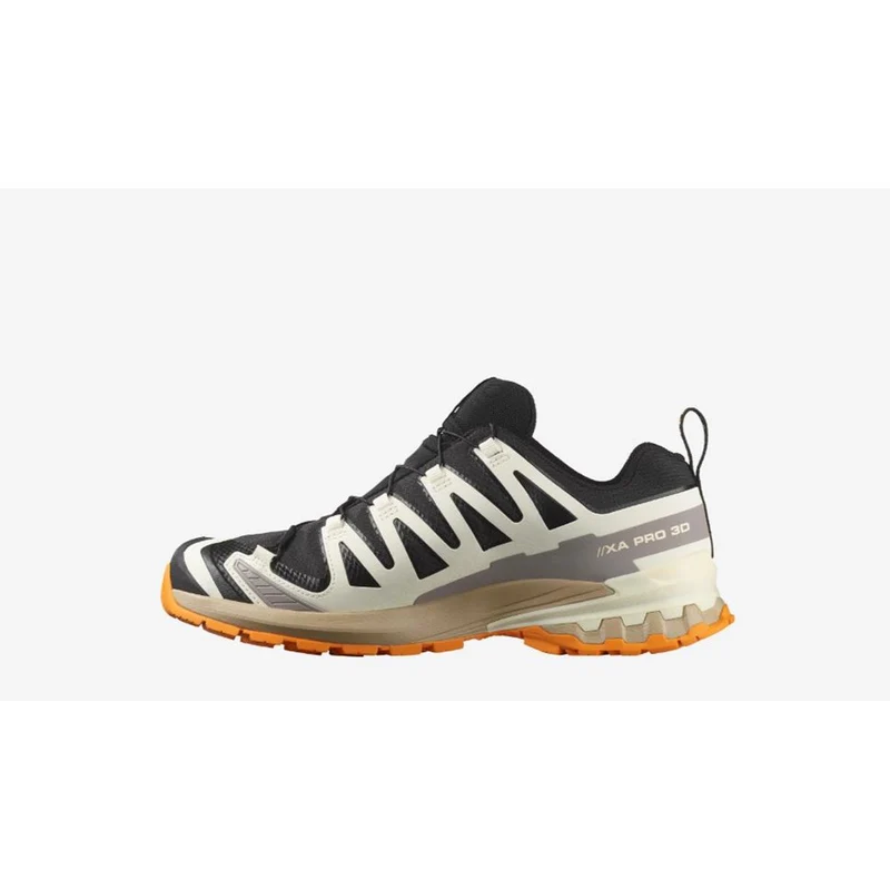 Salomon XA Pro 3D V9 GTX Men black vanilla ice tumeric