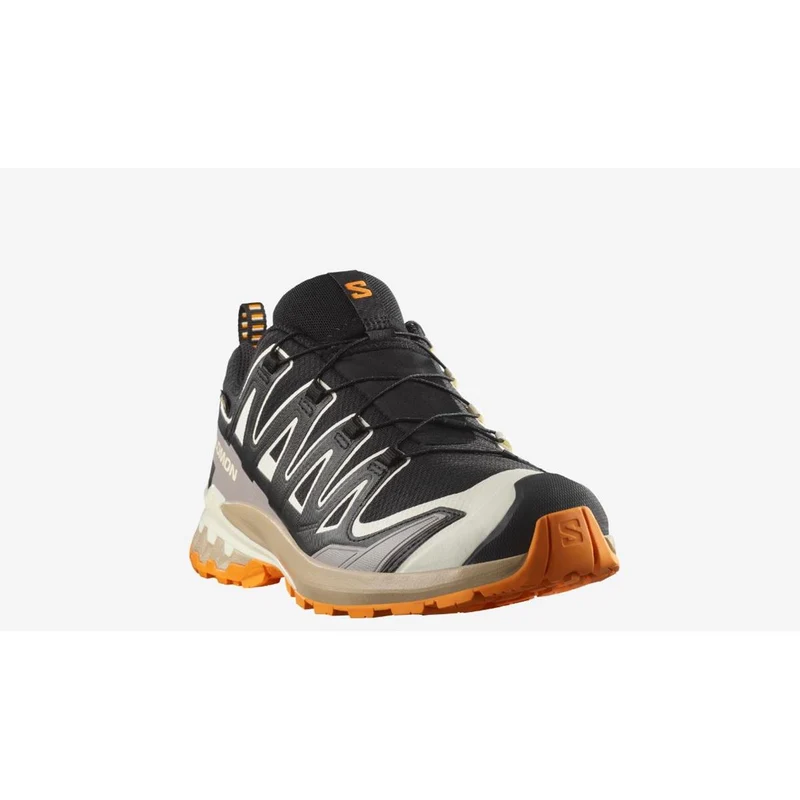 Salomon XA Pro 3D V9 GTX Men black vanilla ice tumeric
