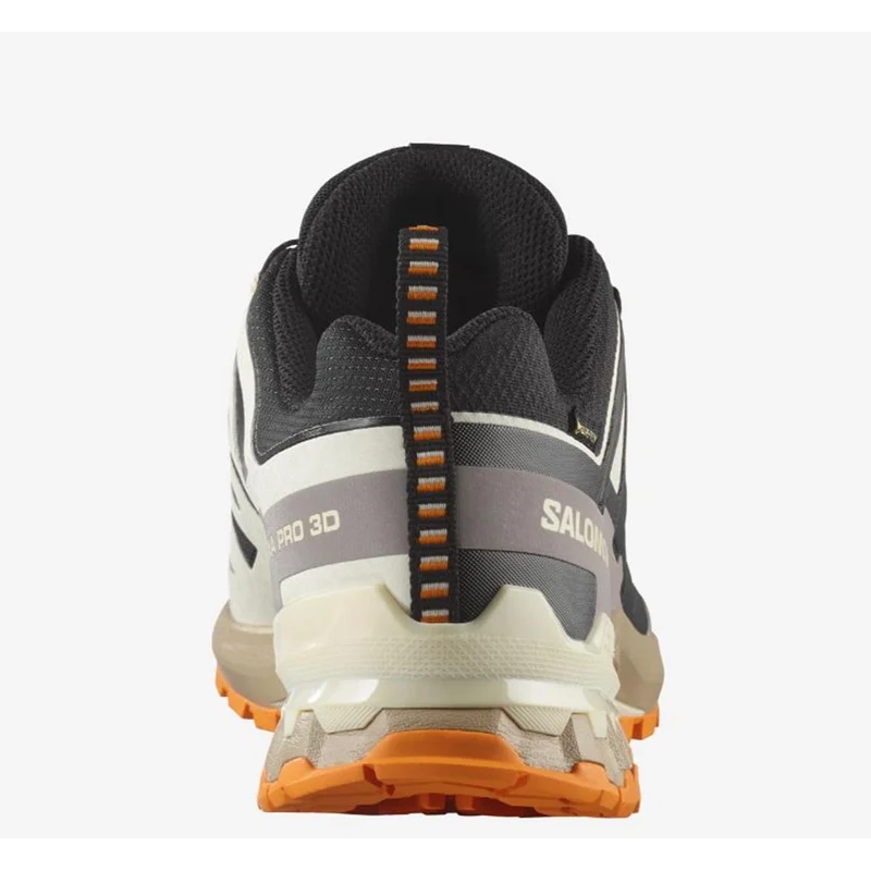 Salomon XA Pro 3D V9 GTX Men black vanilla ice tumeric