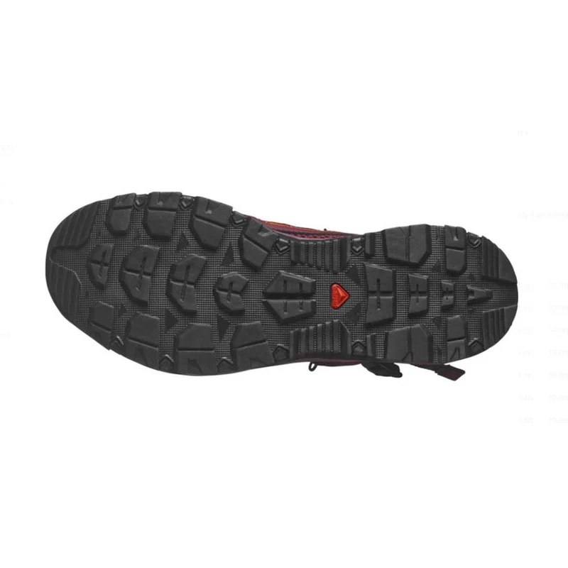 Salomon Techamphibian 5 Women tawnyp willow red