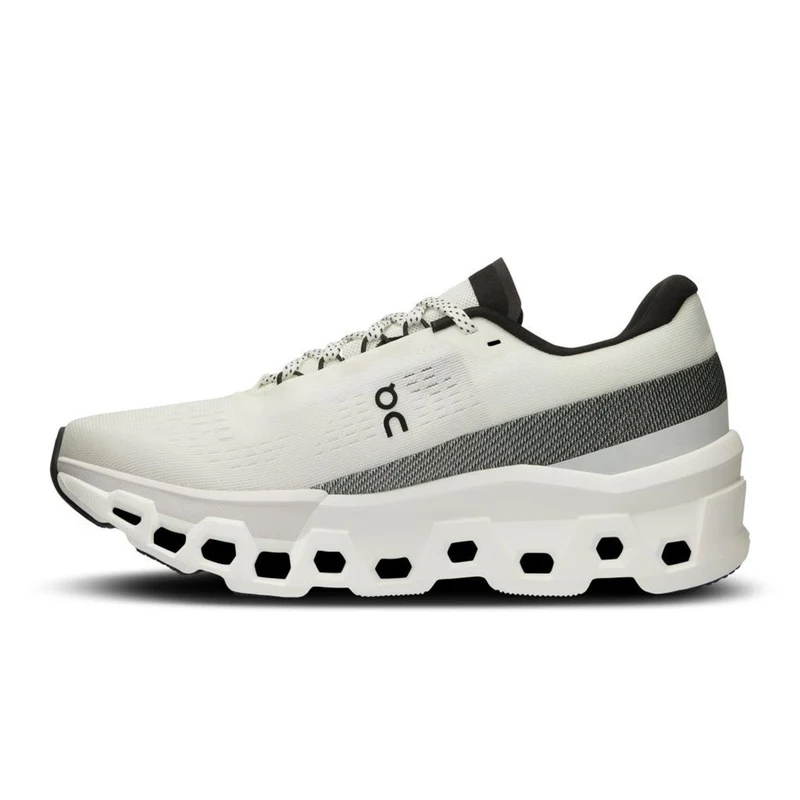 ON Cloudmonster 2 Women white frost