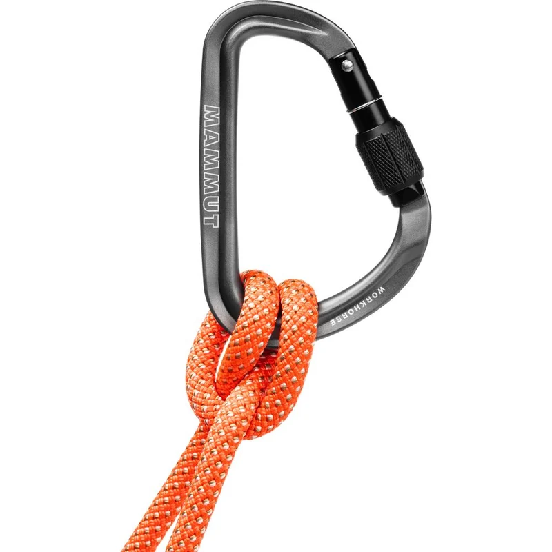 Mammut Workhorse HMS Screwgate Schraubkarabiner grey