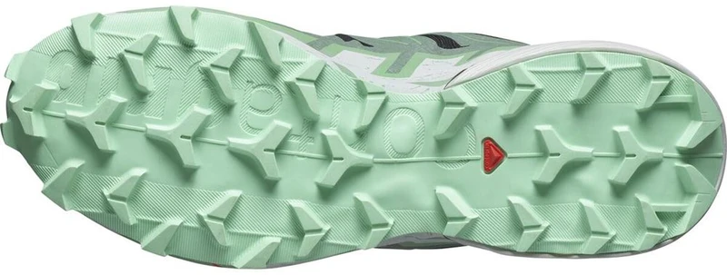 Salomon Speedcross 6 W Damen Trailrunningschuh black/laurel wreath/green ash
