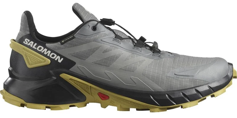 Salomon Supercross 4 GTX Herren Trailrunningschuh pewter/black/cress green