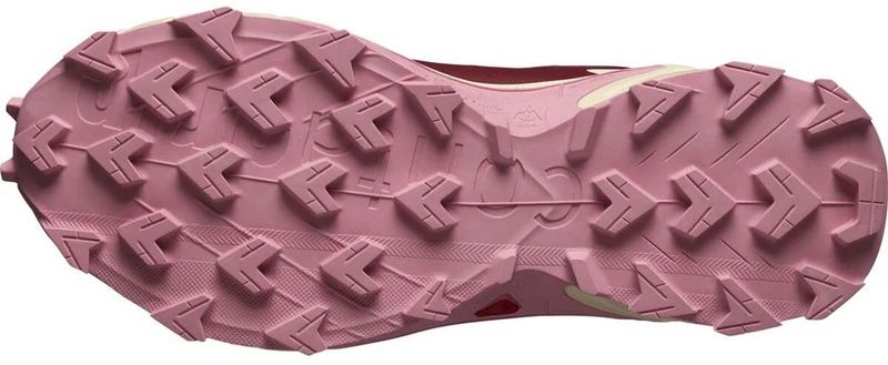 Salomon Supercross 4 GTX W Damen Trailrunningschuh cow hide/syrah/blush