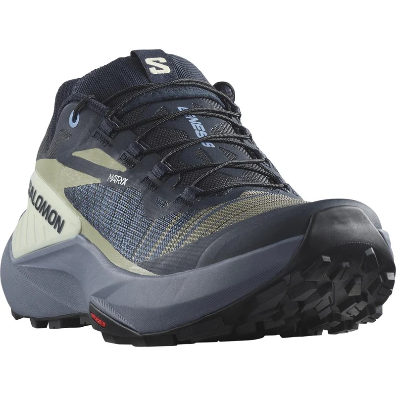 Salomon Genesis Women carbon grisaille aloe wash