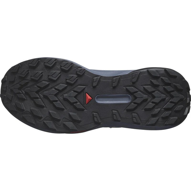 Salomon Genesis Women carbon grisaille aloe wash