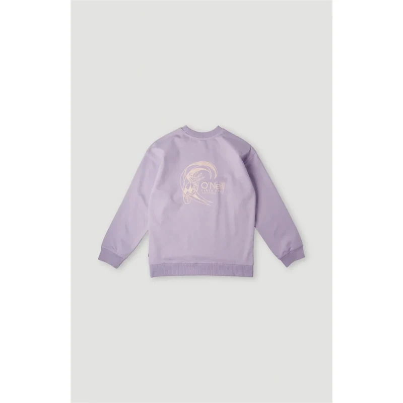 O'Neill Circle Surfer Crew Sweat Kinder lavendar frost
