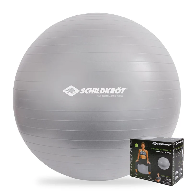 Schildkröt Gymnastikball 65 cm, phthalatfrei, mit Ballpumpe, silber