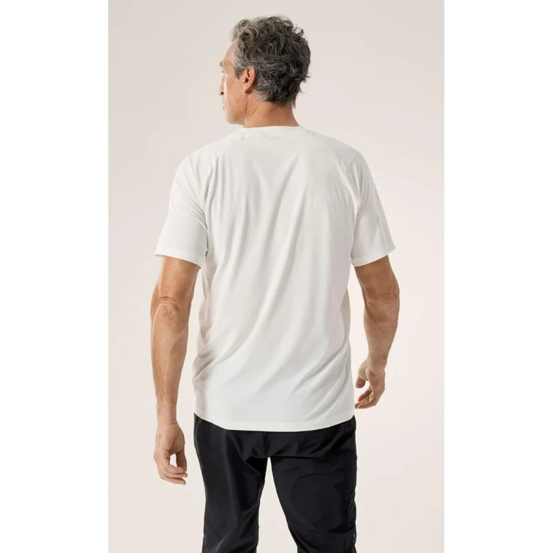 Arc'teryx Cormac Logo T Shirt Herren arctic silk