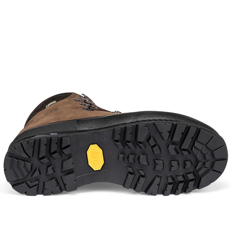 Hanwag Alaska Lady GTX brown